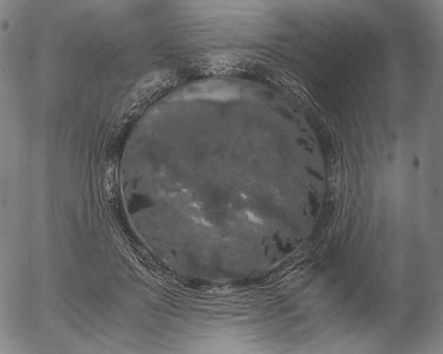 X0000056000503200509021707