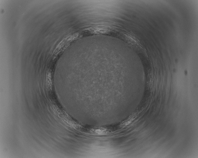 X0000056000506200509021707