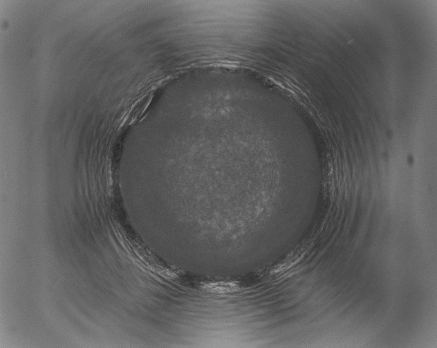 X0000056000508200509021707