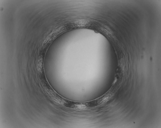 X0000056000509200509021707