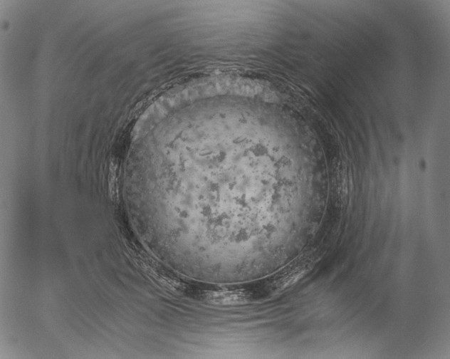 X0000056000511200509021707