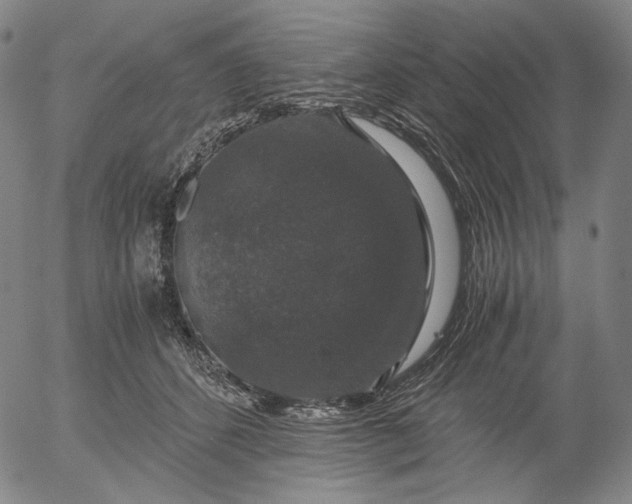 X0000056000512200509021707