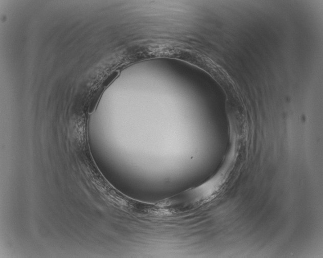 X0000056000513200509021707