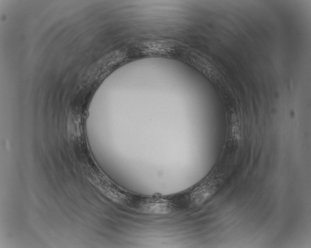 X0000056000514200509021707