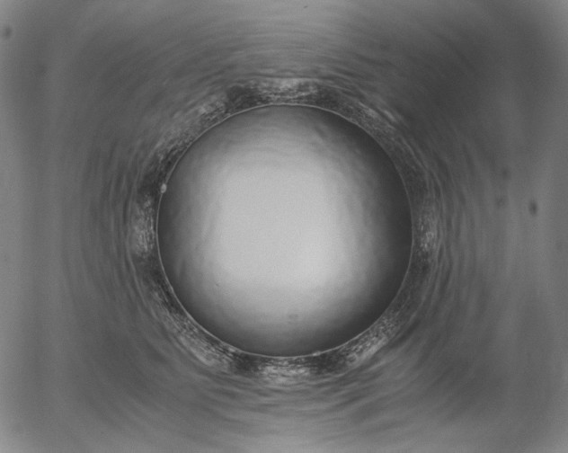 X0000056000515200509021707