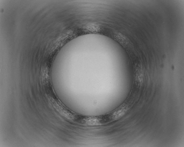 X0000056000518200509021707