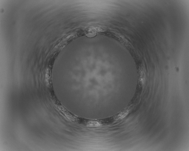 X0000056000519200509021707