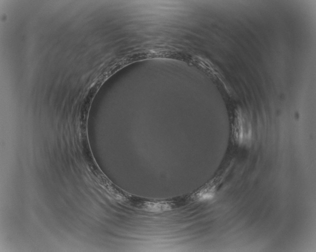 X0000056000520200509021707