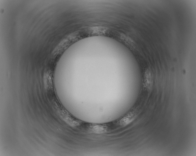 X0000056000522200509021707