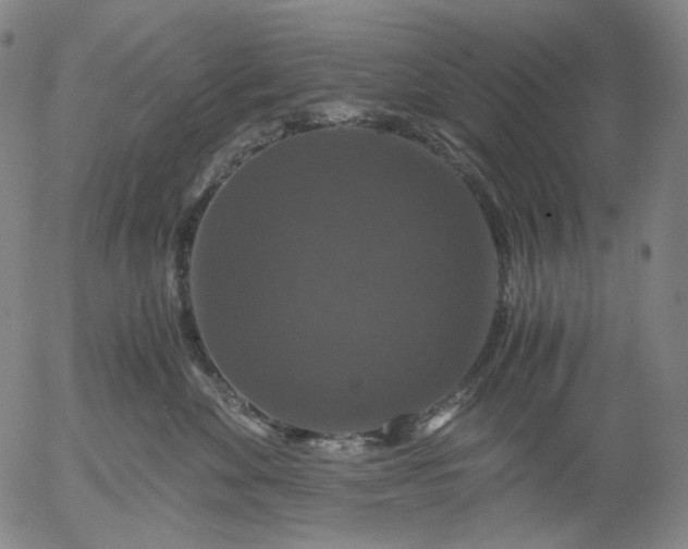 X0000056000524200509021707