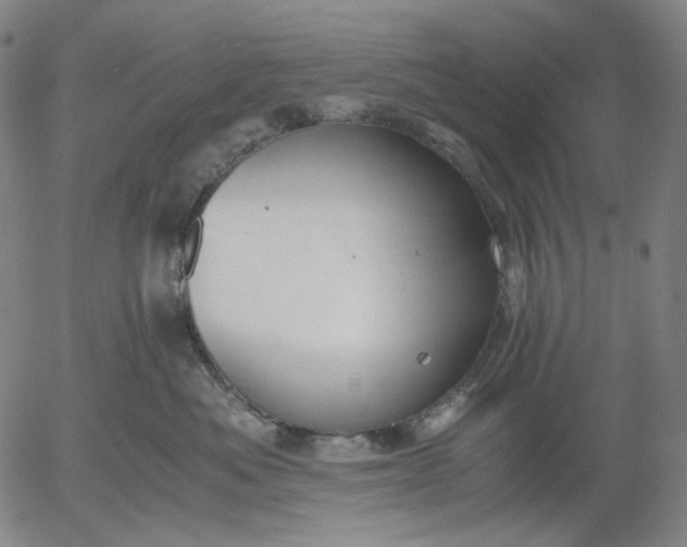 X0000056000525200509021707