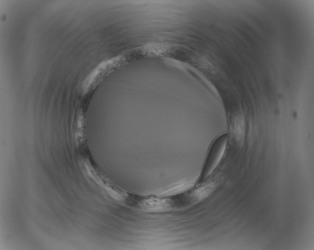 X0000056000526200509021707