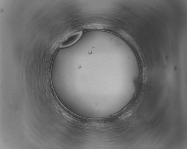 X0000056000529200509021706