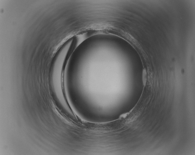 X0000056000530200509021706