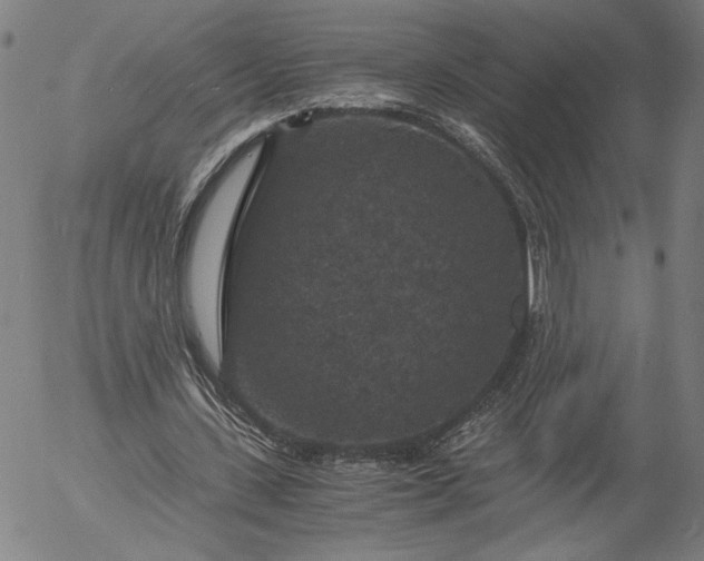 X0000056000531200509021706