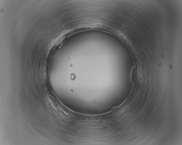 X0000056000532200509021706