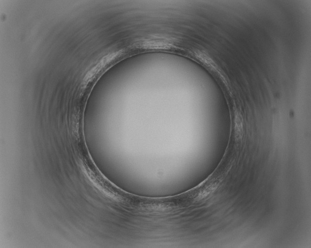 X0000056000533200509021706