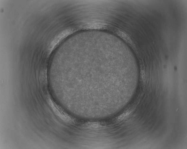 X0000056000534200509021706