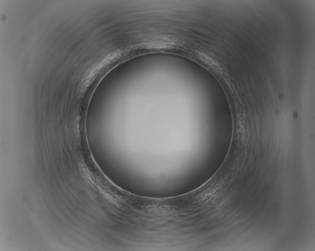 X0000056000535200509021706