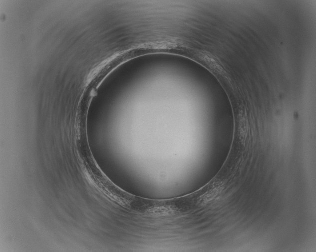 X0000056000536200509021706