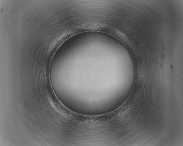 X0000056000538200509021706