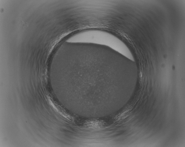 X0000056000540200509021706