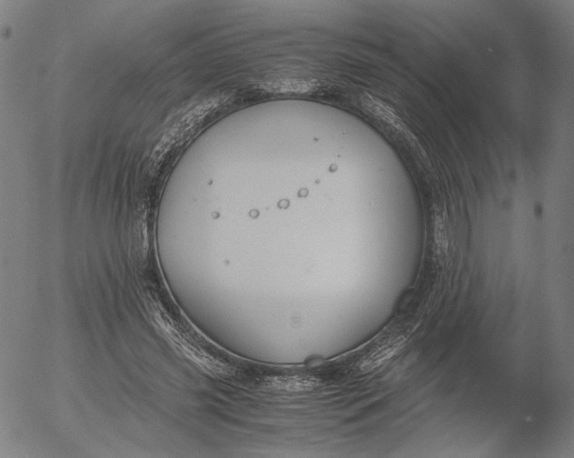 X0000056000541200509021706