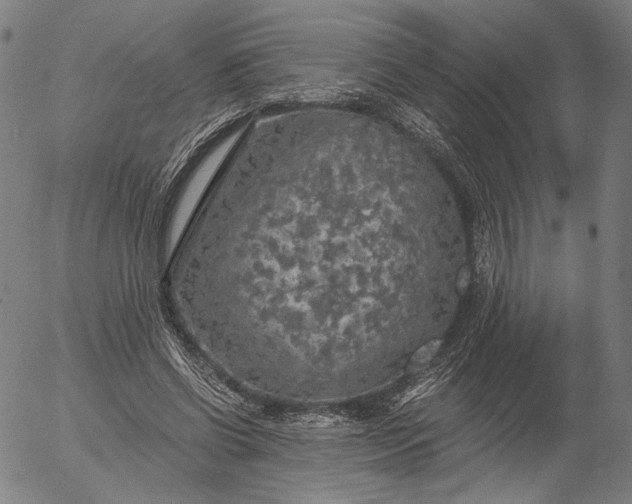 X0000056000542200509021706