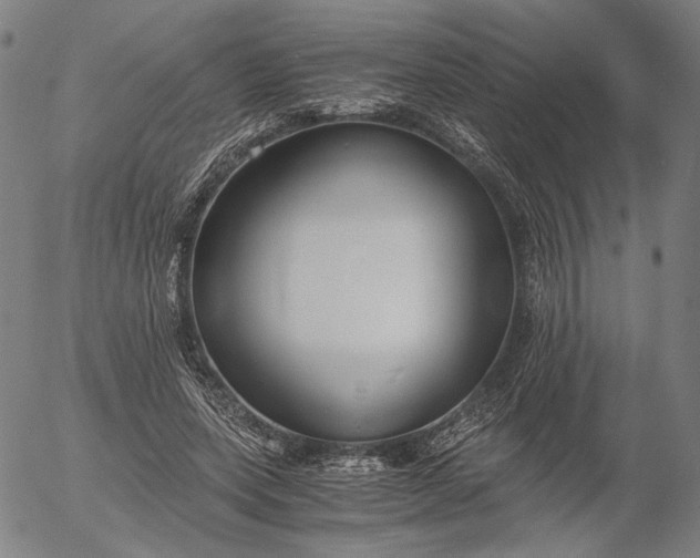 X0000056000543200509021706