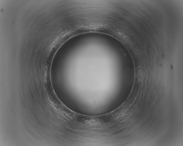 X0000056000544200509021706