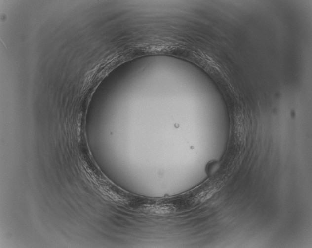 X0000056000545200509021707