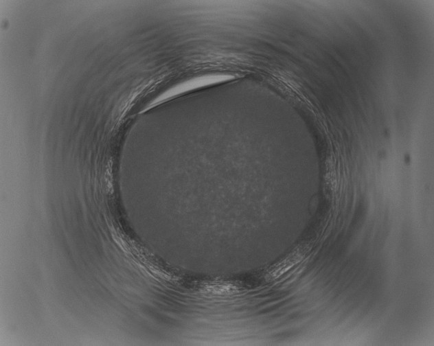 X0000056000547200509021707