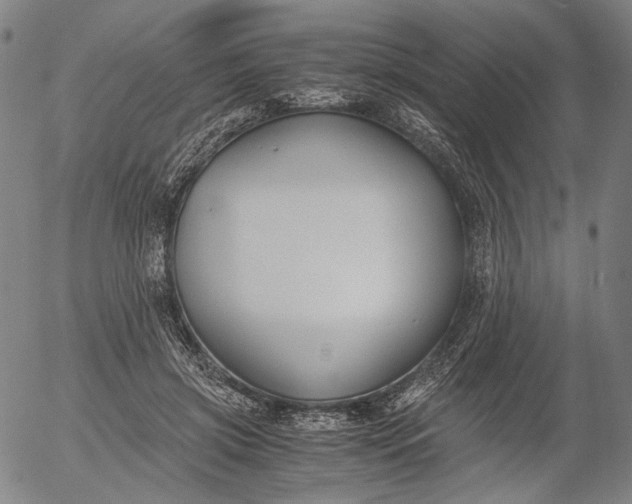 X0000056000549200509021707