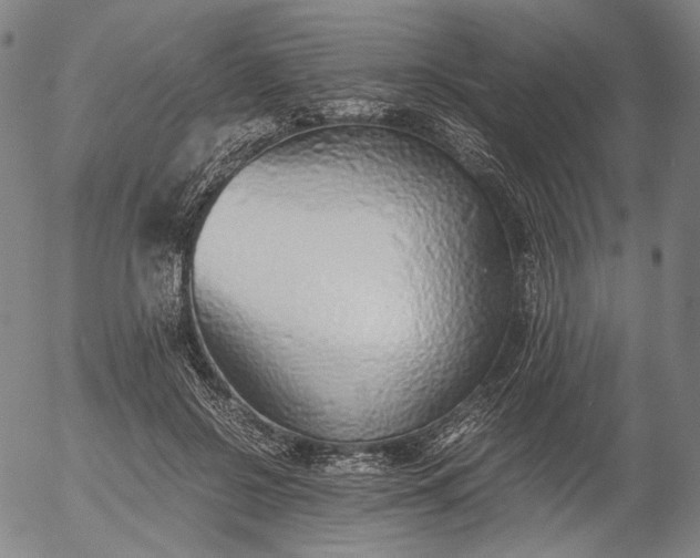 X0000056000550200509021707