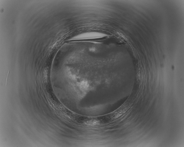 X0000056000551200509021707