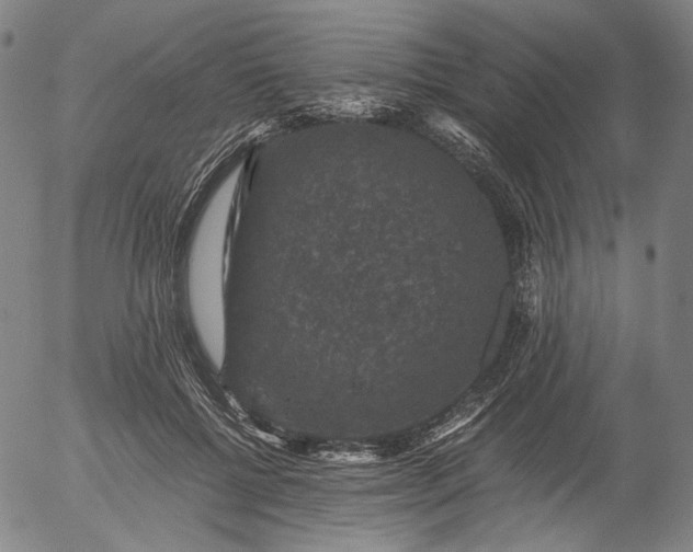 X0000056000552200509021707