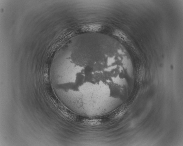 X0000056000553200509021707