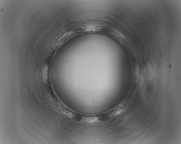 X0000056000554200509021707