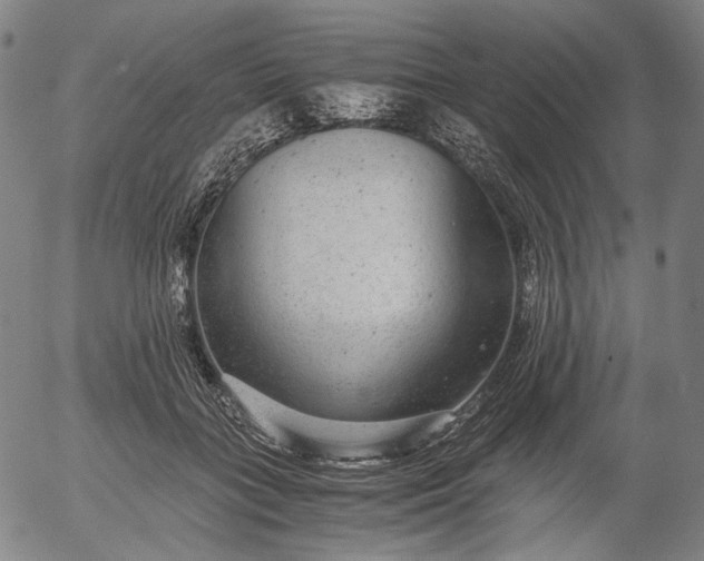 X0000056000555200509021707