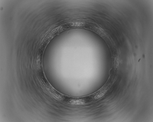 X0000056000557200509021707