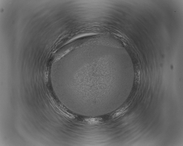 X0000056000558200509021707