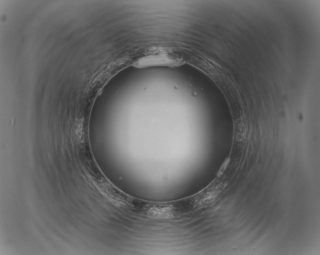 X0000056000560200509021707