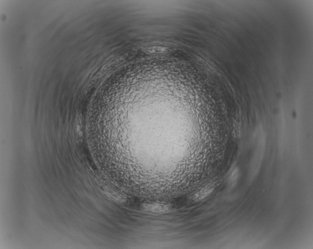 X0000056000561200509021707