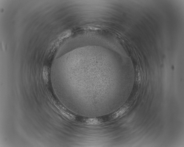 X0000056000562200509021707