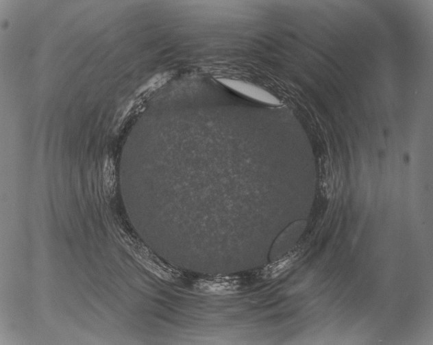 X0000056000563200509021707