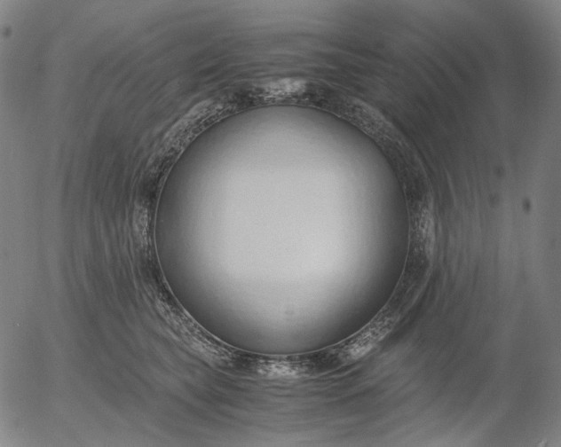 X0000056000565200509021707