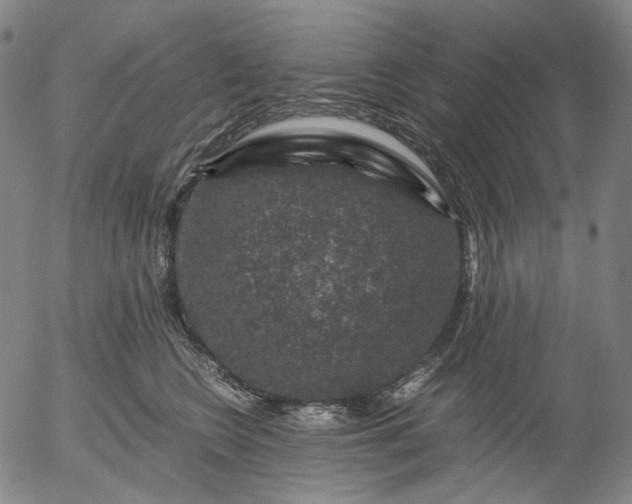 X0000056000566200509021707