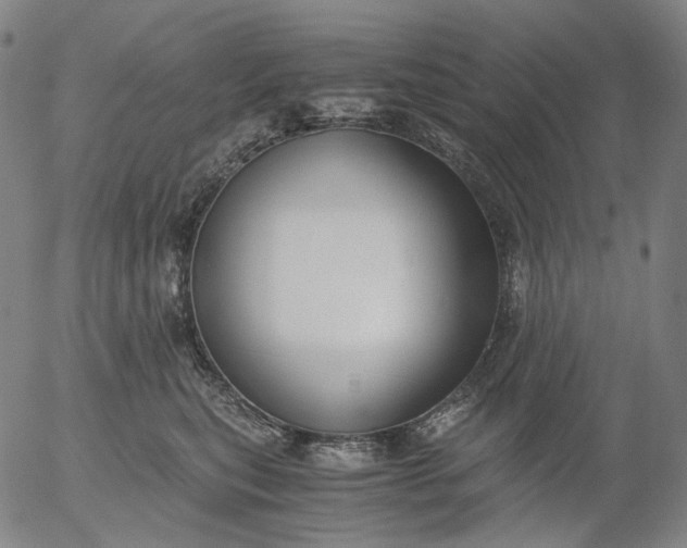 X0000056000567200509021707