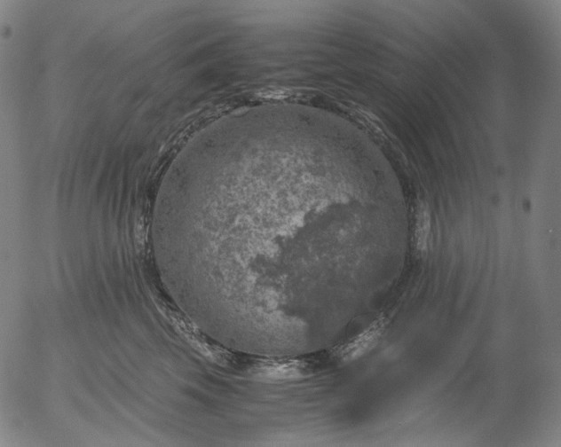 X0000056000569200509021707