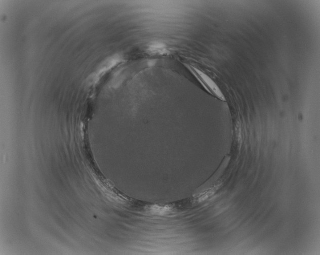 X0000056000570200509021707